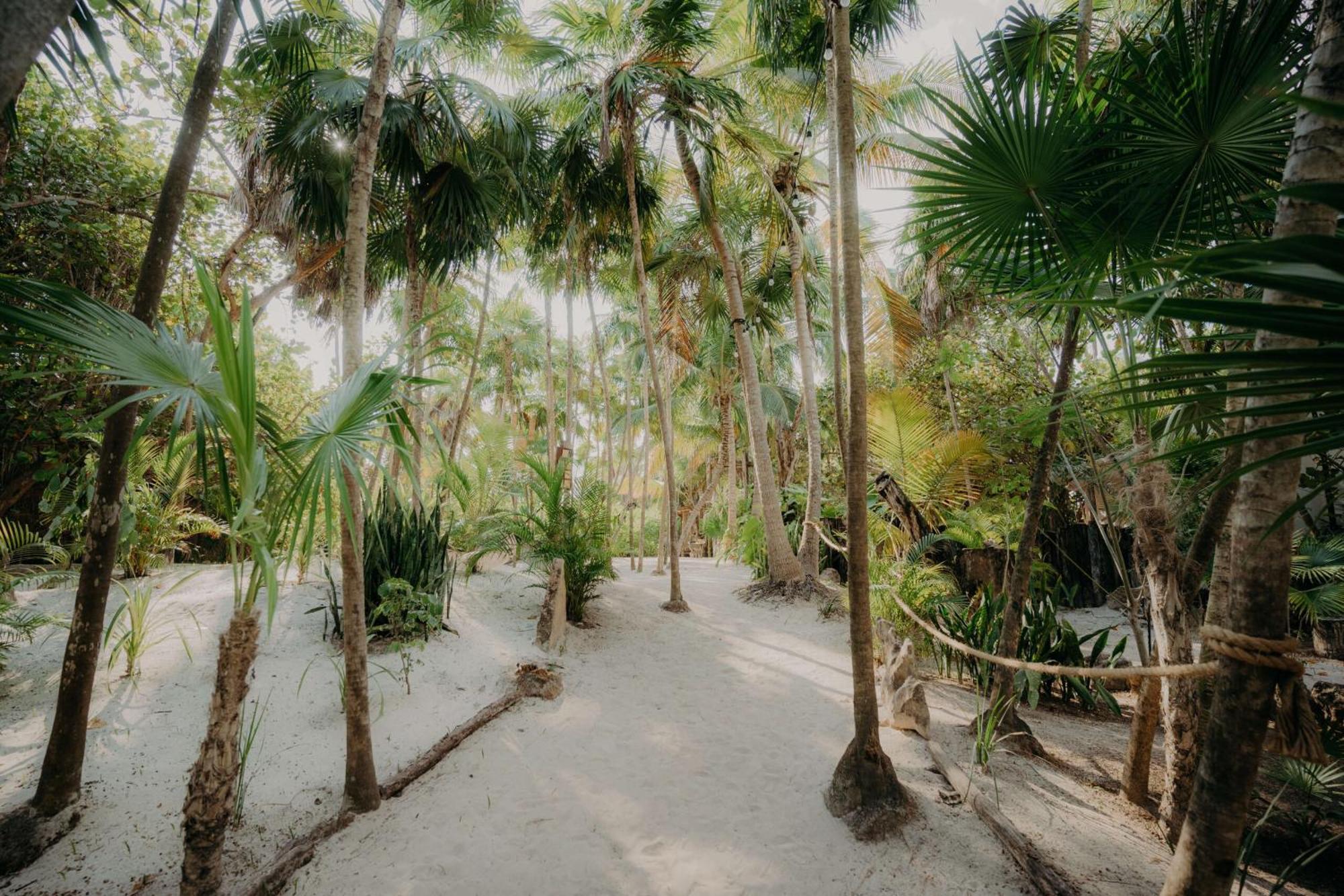 Appartamento Luxury Penthouse With Private Pool In Aldea Zama Tulum Esterno foto