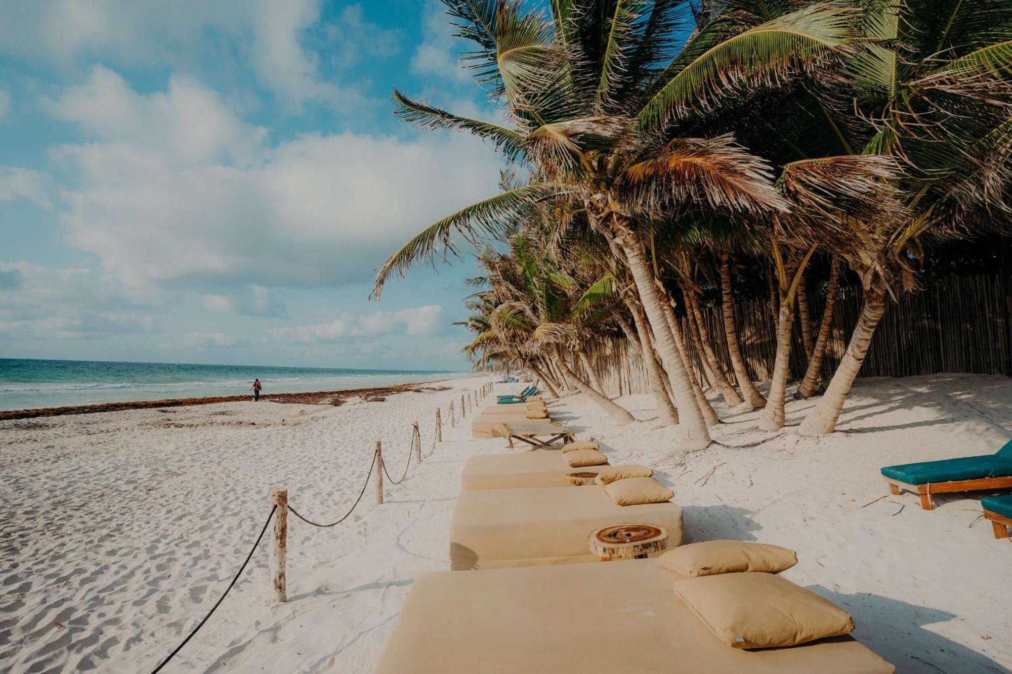 Appartamento Luxury Penthouse With Private Pool In Aldea Zama Tulum Esterno foto